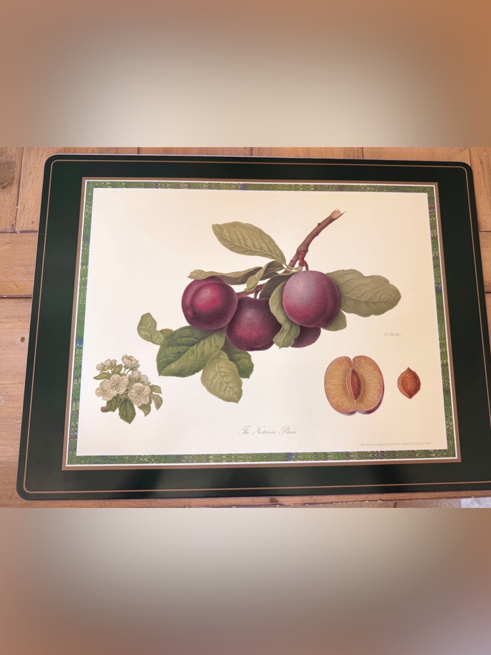 Pimpernel RHS Collection Cork Placemats Set 4 Botanical Fruit Hooker - Picture 4 of 8